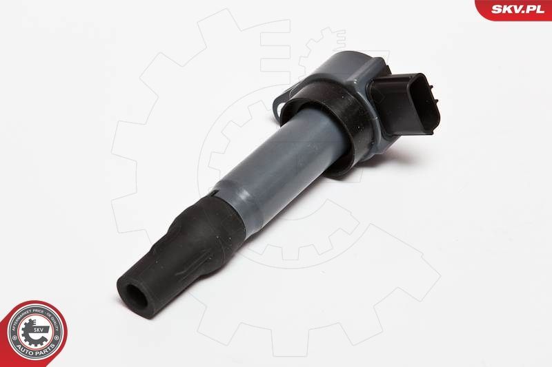 Ritė, uždegimas ESEN SKV 03SKV198