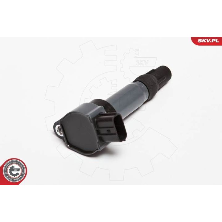 Ritė, uždegimas ESEN SKV 03SKV198