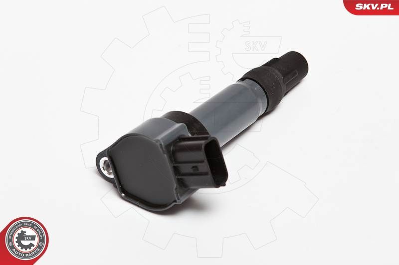 Ritė, uždegimas ESEN SKV 03SKV198