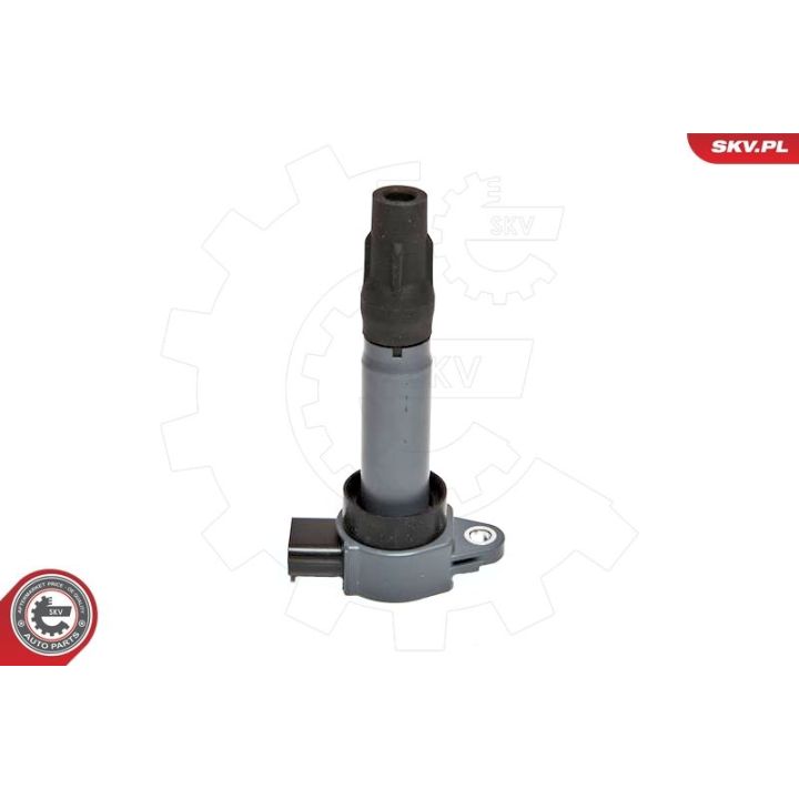 Ritė, uždegimas ESEN SKV 03SKV198