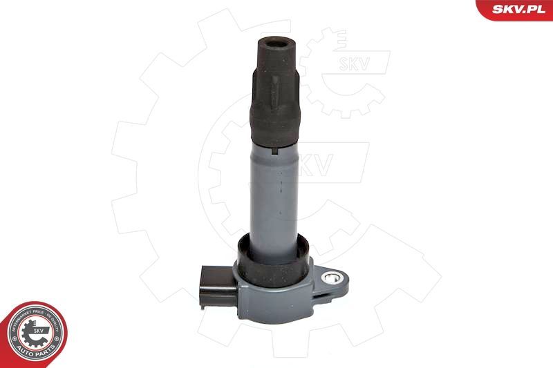 Ritė, uždegimas ESEN SKV 03SKV198