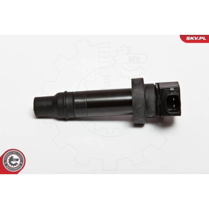 Ritė, uždegimas ESEN SKV 03SKV200