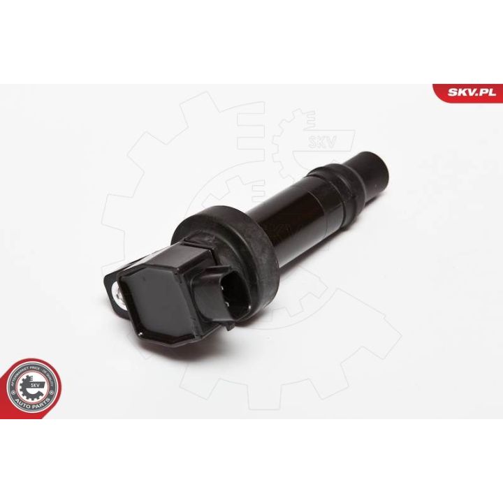 Ritė, uždegimas ESEN SKV 03SKV200