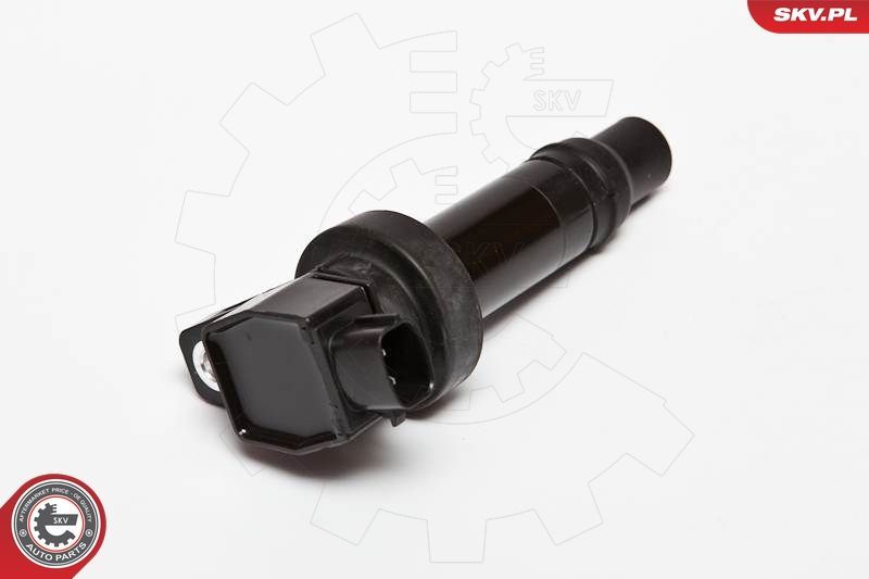 Ritė, uždegimas ESEN SKV 03SKV200