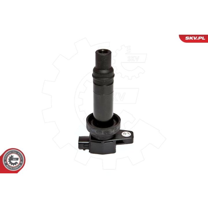 Ritė, uždegimas ESEN SKV 03SKV200