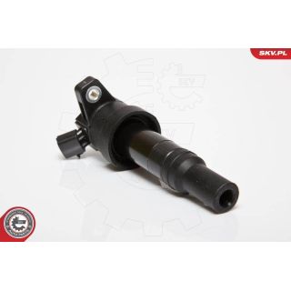 Ritė, uždegimas ESEN SKV 03SKV201