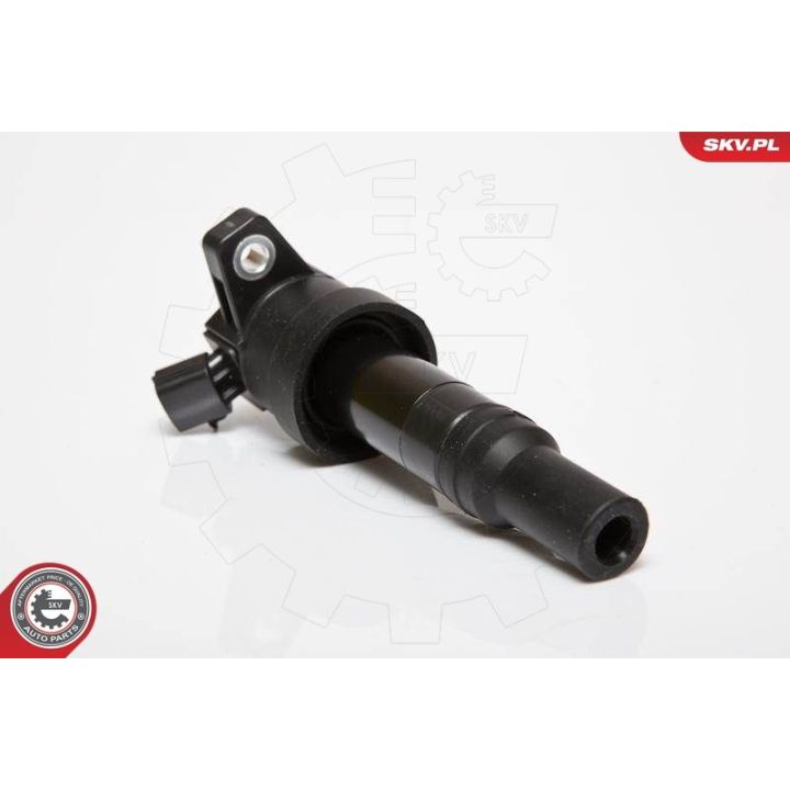 Ritė, uždegimas ESEN SKV 03SKV201