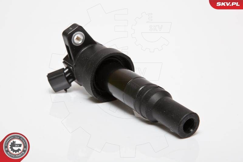 Ritė, uždegimas ESEN SKV 03SKV201