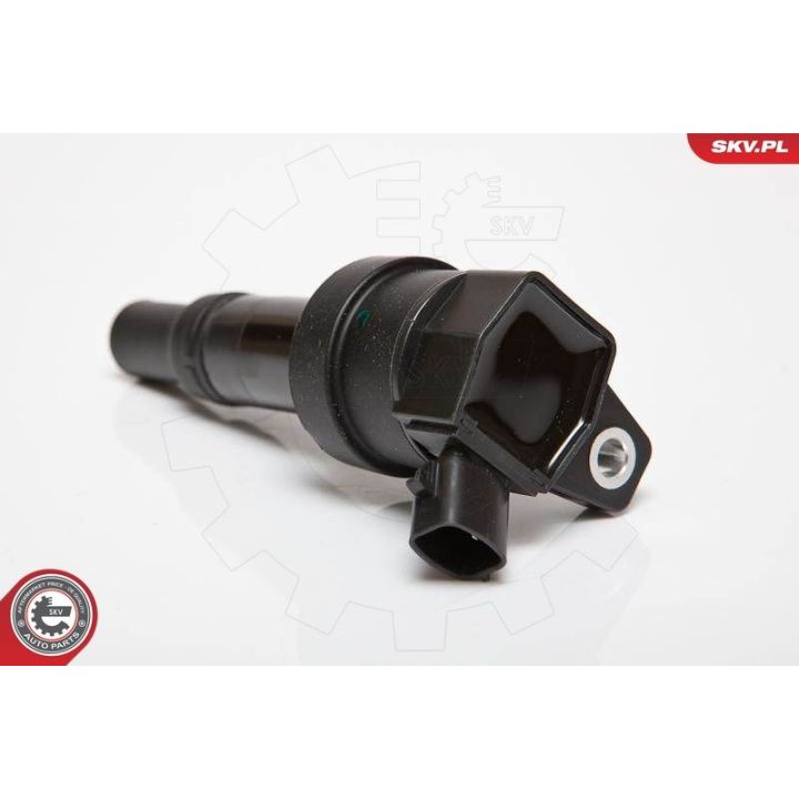 Ritė, uždegimas ESEN SKV 03SKV201