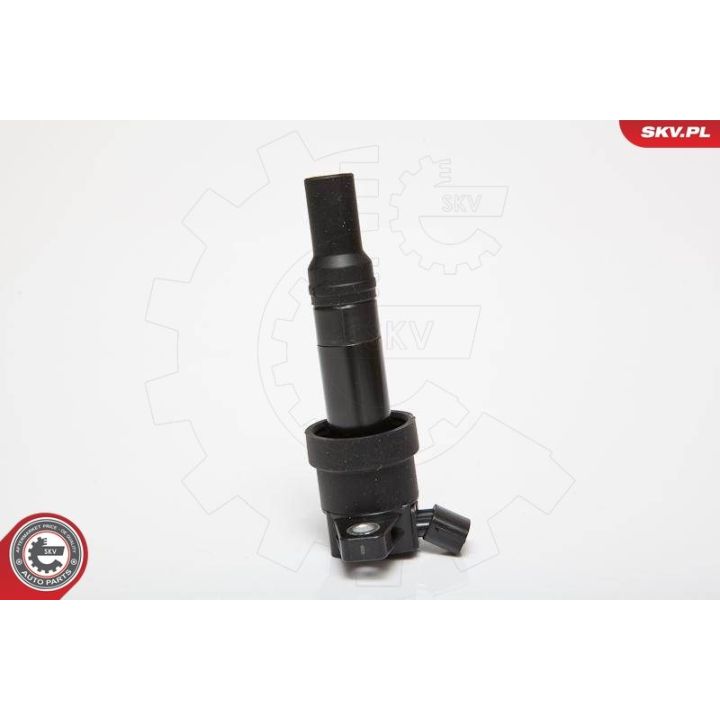 Ritė, uždegimas ESEN SKV 03SKV201