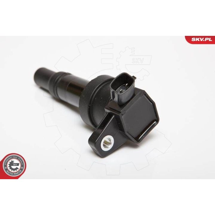 Ritė, uždegimas ESEN SKV 03SKV201