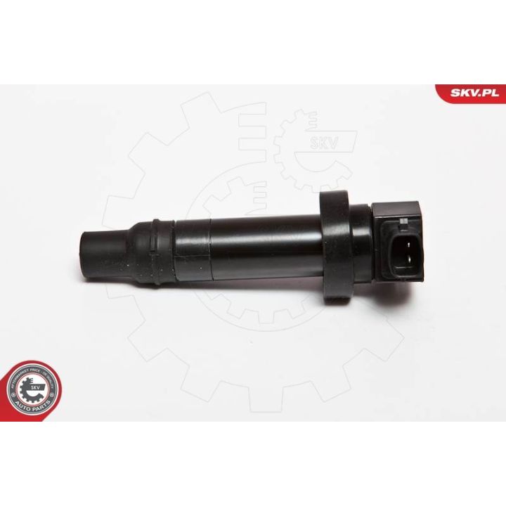 Ritė, uždegimas ESEN SKV 03SKV202