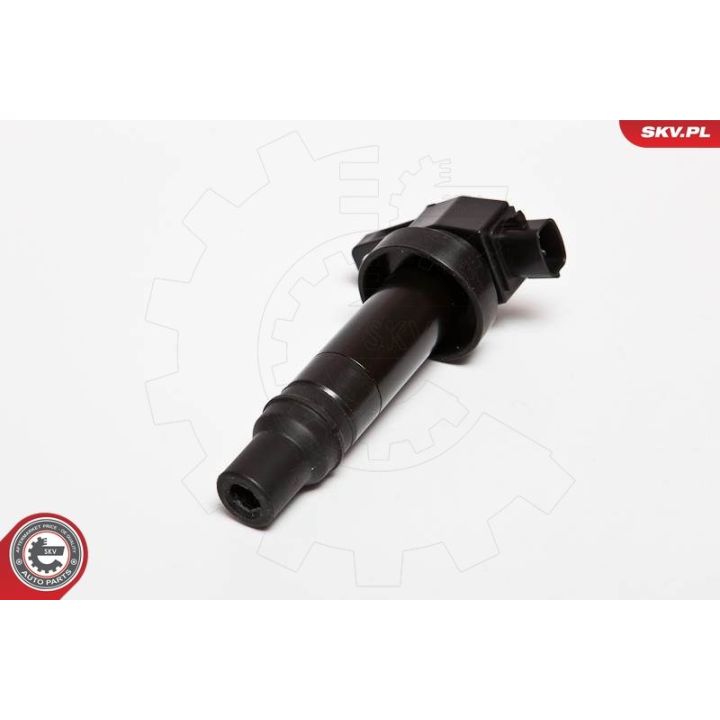 Ritė, uždegimas ESEN SKV 03SKV202