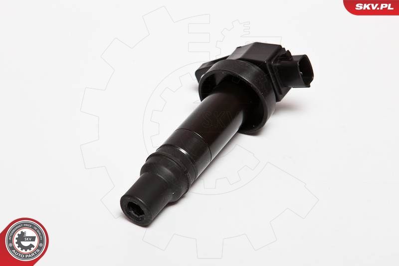 Ritė, uždegimas ESEN SKV 03SKV202