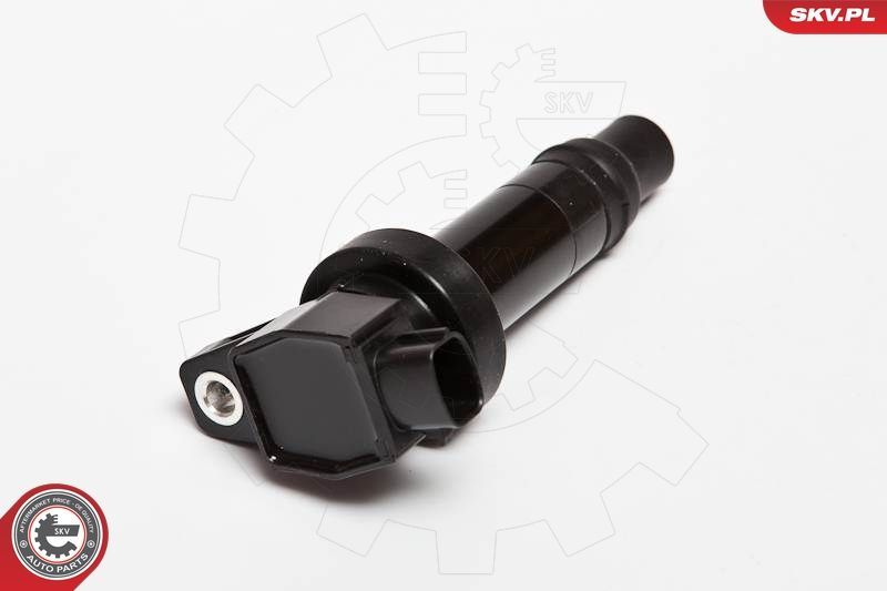 Ritė, uždegimas ESEN SKV 03SKV202