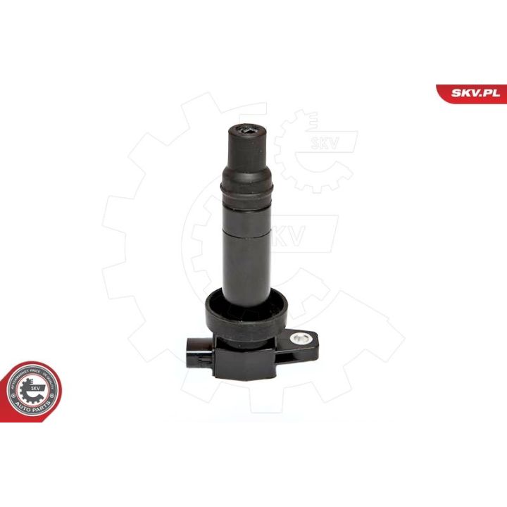 Ritė, uždegimas ESEN SKV 03SKV202