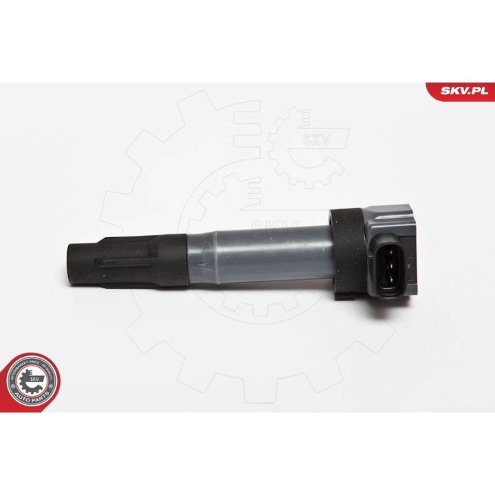 Ritė, uždegimas ESEN SKV 03SKV203