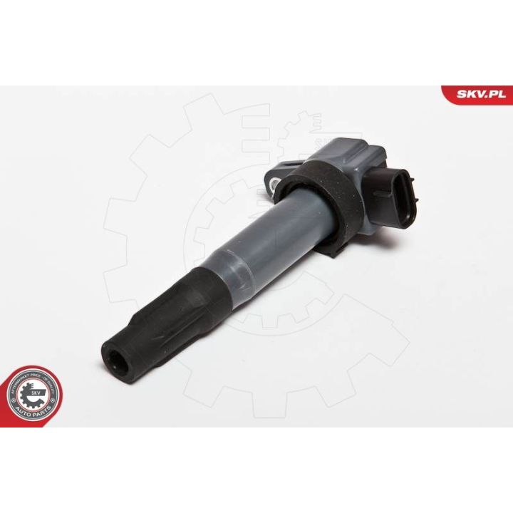 Ritė, uždegimas ESEN SKV 03SKV203