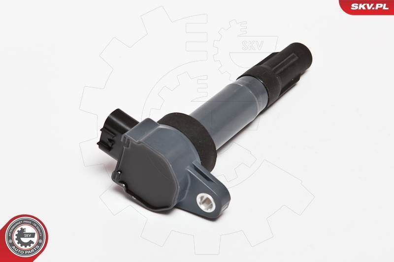 Ritė, uždegimas ESEN SKV 03SKV203