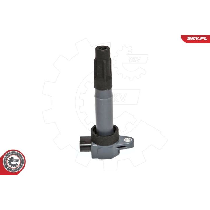 Ritė, uždegimas ESEN SKV 03SKV203