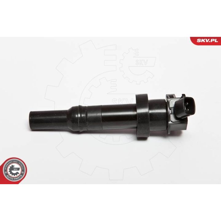 Ritė, uždegimas ESEN SKV 03SKV204