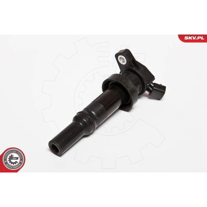 Ritė, uždegimas ESEN SKV 03SKV204