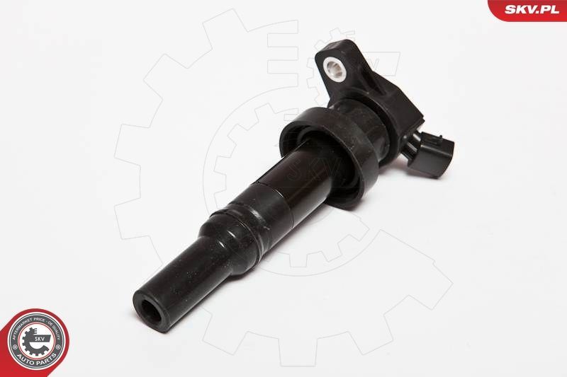 Ritė, uždegimas ESEN SKV 03SKV204