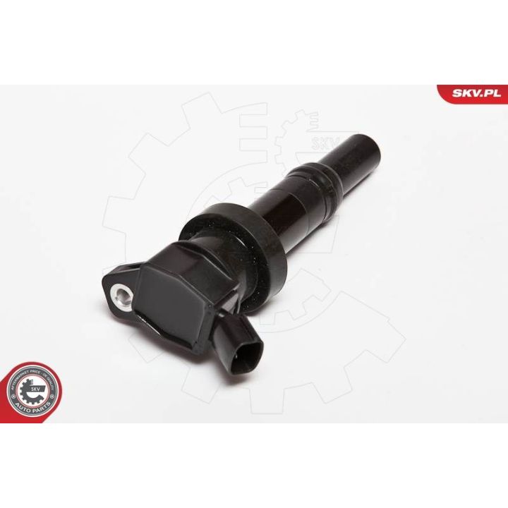 Ritė, uždegimas ESEN SKV 03SKV204