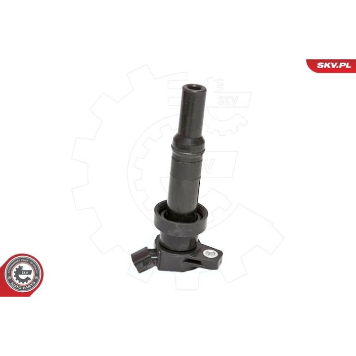 Ritė, uždegimas ESEN SKV 03SKV204