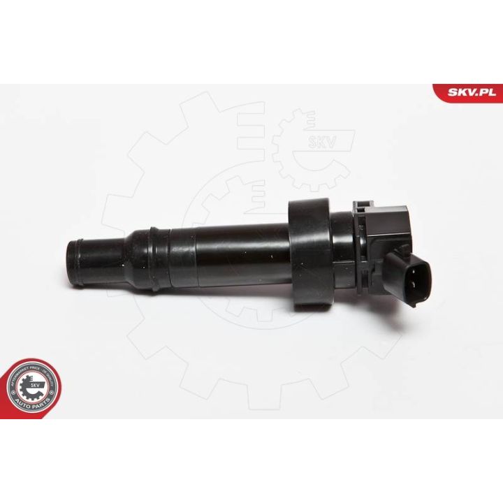 Ritė, uždegimas ESEN SKV 03SKV205