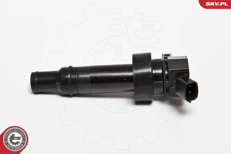 Ritė, uždegimas ESEN SKV 03SKV205