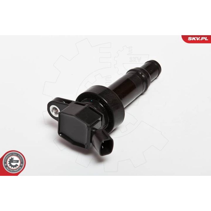 Ritė, uždegimas ESEN SKV 03SKV205