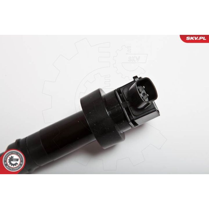 Ritė, uždegimas ESEN SKV 03SKV205