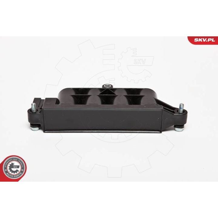 Ritė, uždegimas ESEN SKV 03SKV207