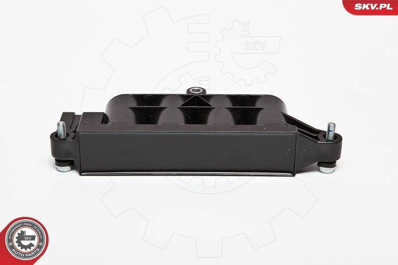 Ritė, uždegimas ESEN SKV 03SKV207