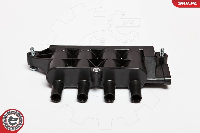 Ritė, uždegimas ESEN SKV 03SKV207