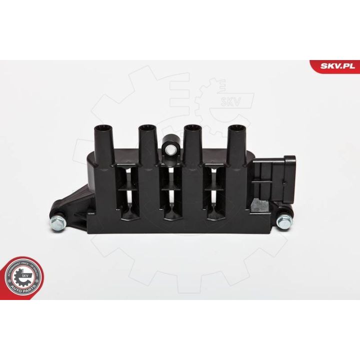 Ritė, uždegimas ESEN SKV 03SKV207