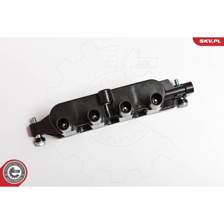 Ritė, uždegimas ESEN SKV 03SKV207