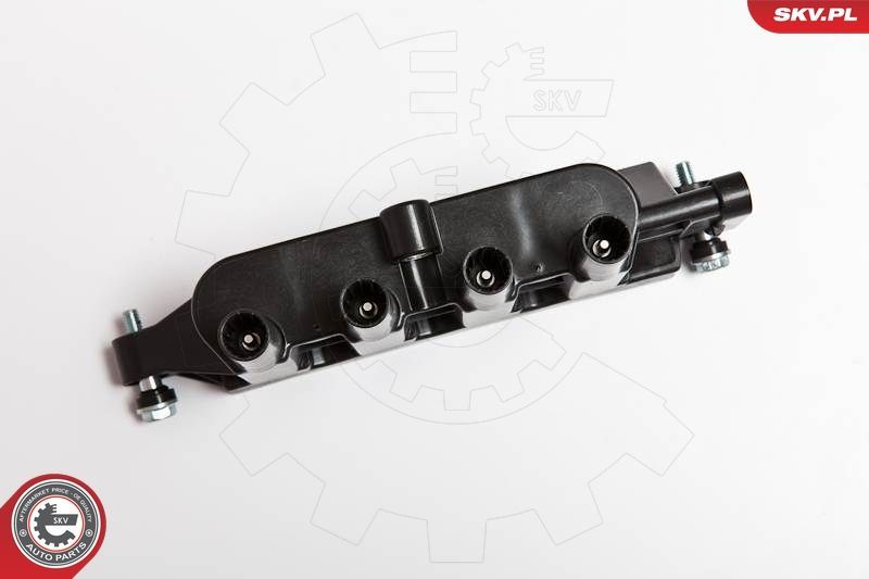 Ritė, uždegimas ESEN SKV 03SKV207