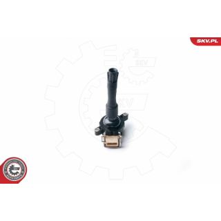 Ritė, uždegimas ESEN SKV 03SKV213