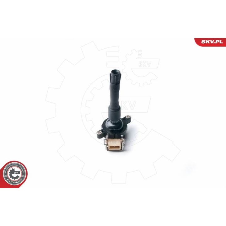 Ritė, uždegimas ESEN SKV 03SKV213