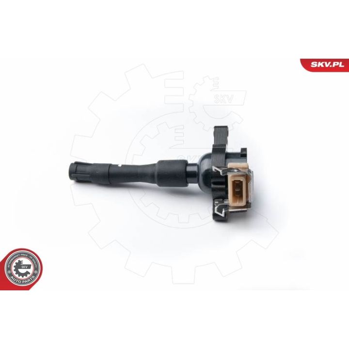 Ritė, uždegimas ESEN SKV 03SKV213