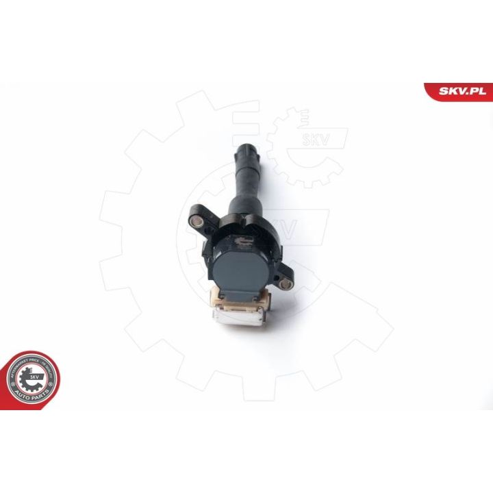 Ritė, uždegimas ESEN SKV 03SKV213