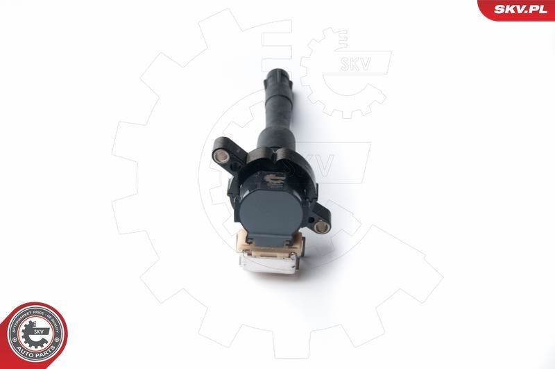 Ritė, uždegimas ESEN SKV 03SKV213