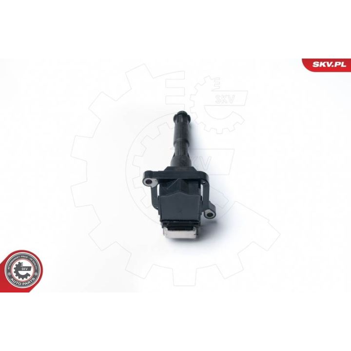 Ritė, uždegimas ESEN SKV 03SKV214