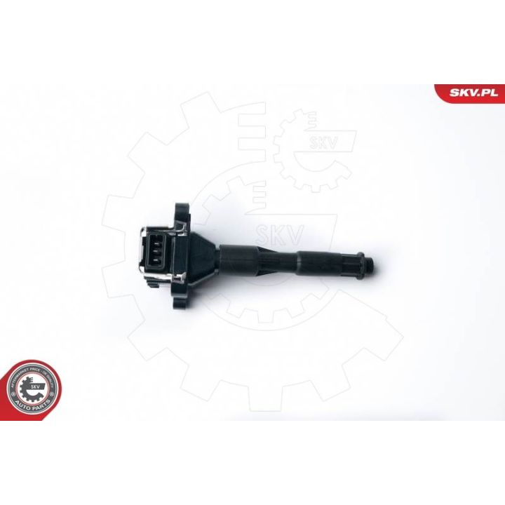 Ritė, uždegimas ESEN SKV 03SKV214