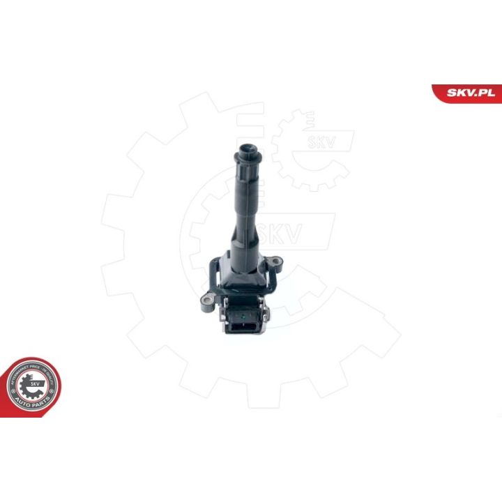 Ritė, uždegimas ESEN SKV 03SKV214