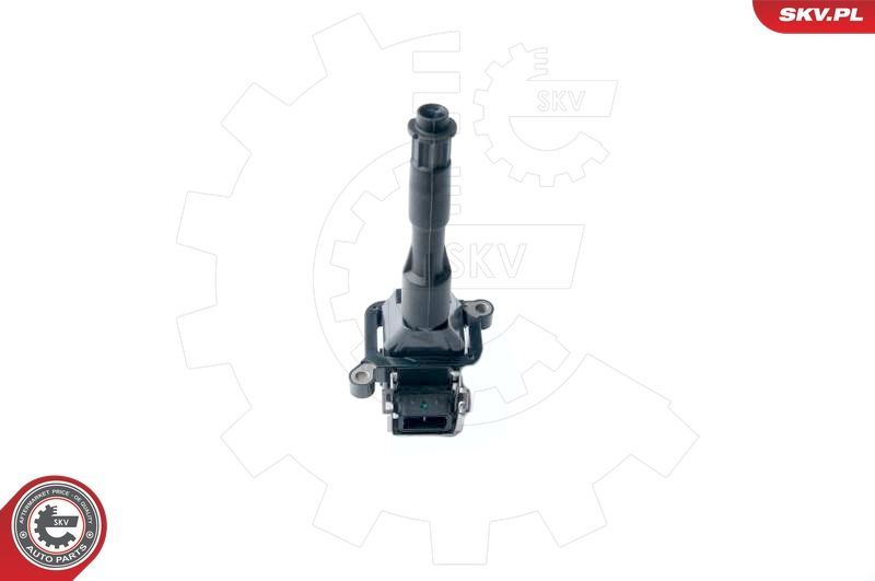 Ritė, uždegimas ESEN SKV 03SKV214