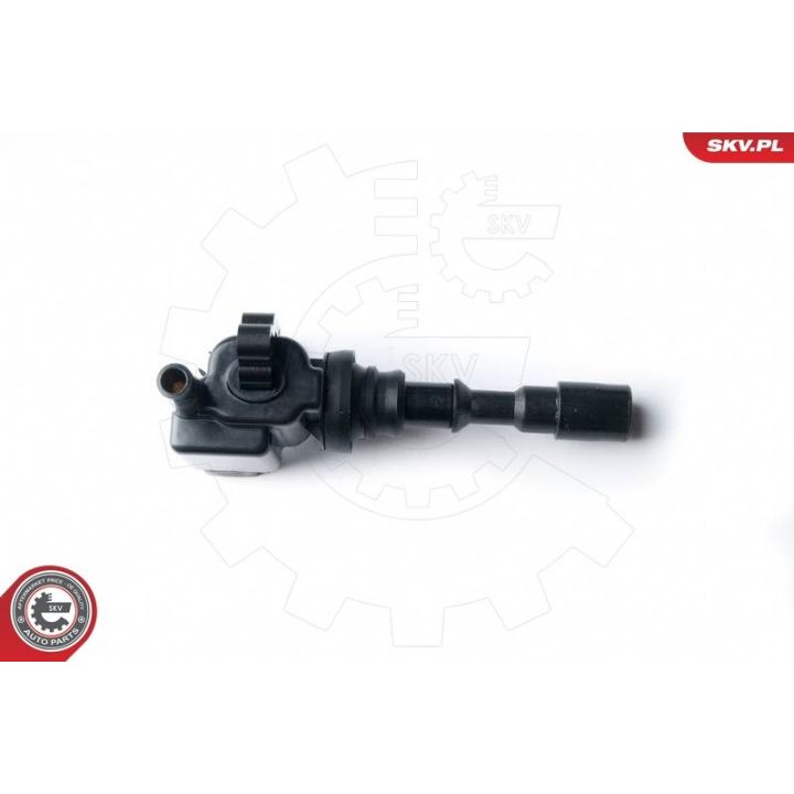 Ritė, uždegimas ESEN SKV 03SKV224