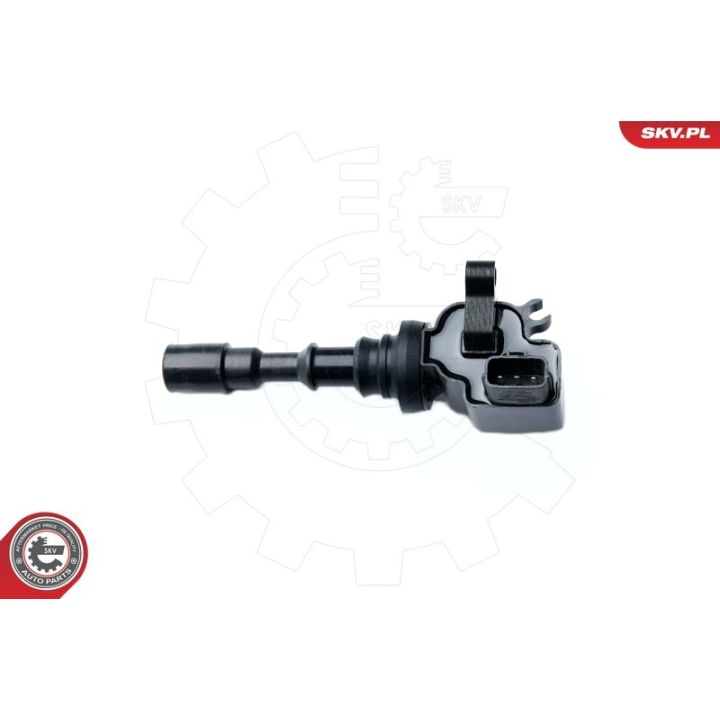 Ritė, uždegimas ESEN SKV 03SKV224